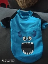 De moda disfraz mascota gato verano gato chaleco con capucha acogedor Mascoats Goto, ropa para gatos, Katten abrigo Kedi sudadera ropa traje