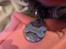 Personalized Dog Collar Necklace Pet-Accessories Bulldog-Plate Nameplate Dogs-Id-Tags