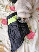 Dog-Jacket Puppy Dogs French Bulldog Waterproof Vest Hoodies Pet-Dog Small Winter Large