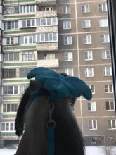 Arnés de nailon pequeño para perros, 10 colores, bonito arnés a prueba de Escape para gatos, conejos, Chihuahua y cachorros