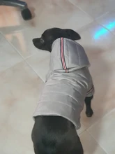 Coat Puppy Clothing Pet-Dog-Jacket Dogs Chihuahua Yorkshire Hoodies Outfit Small Winter