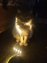 Tira de luces LED con Sensor de movimiento para cocina y habitación, interruptor USB de luz nocturna con Sensor de barrido manual, CC de 5V, SMD 2835