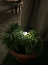 Solar-Pathway-Lights Solar-Lamp Outdoor Waterproof for Driveway/walkway 2/4/6/8pcs Led