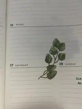 60 unidades/Paquete de pegatinas de flores para decoración, bricolaje, álbum diario, planificador, pegatinas, papelería, etiqueta adhesiva para útiles escolares