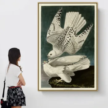 

John James Audubon Old Famous Master Artist Iceland or Jer Falcon Canvas Painting Poster Print for Room Wall Decor POP Wall Art
