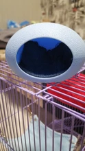 Nest Mouse-House Wooden Cute Small Pet Pet-Sleeping Comfortable Warm And 1pcs Colored