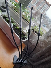 LED Grow Light USB Phyto Lamp Full Spectrum Grow Tent Complete Kit Phytolamp for Plants