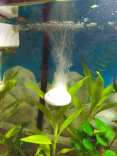 Bandeja de Nano burbujas para acuario, accesorios de bomba de oxígeno, bandeja para ARENA, bomba de aire, piedra