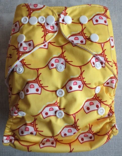 Print Cloth  diapers (6)