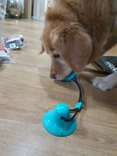 Pet Dog Toys Silicon Suction Cup Tug dog toy Dogs Push Ball Toy Pet Tooth Cleaning Dog