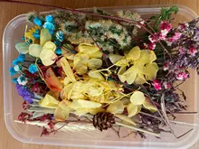 1 caja de hojas de flores prensadas reales, resina de margaritas secas, calcomanías de belleza para uñas, moldes de epoxi, embellecedores para fabricación de joyas