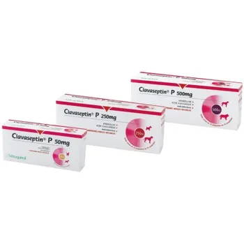 

CLAVASEPTIN tablets for dogs and cats