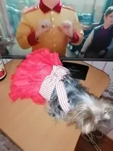 Summer Dress Jean Skirt Dog-Pets Dogs Chihuahua for Puppy-Clothing XS-L