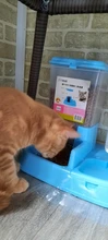 pets Automatic water Feeder for Cat Dog Drinking Bowl Pet Food Dispenser Bottle Practical
