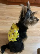 Dog-Backpack-Harness Lead-Carrier Pink Animal Small Cute with Leash-Set Little Pet-Cat