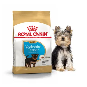 

Royal Canin Yorkshire terrier junior food breed puppy Yorkshire terrier, chicken, 500g.