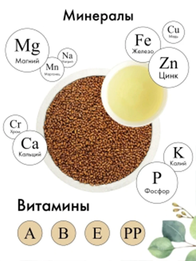 Buckwheat tea Ku Qiao 100 grams from tea workshop | buckwheat tea granular | Tatar buckwheat 100 grams Buckwheat tea Ku Qiao 100 grams from tea workshop | buckwheat tea granular | Tatar buckwheat 100 grams