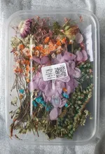1 caja de hojas de flores prensadas reales, resina de margaritas secas, calcomanías de belleza para uñas, moldes de epoxi, embellecedores para fabricación de joyas