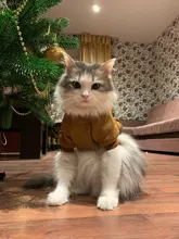 Warm Pet Clothes For Cats Clothing Autumn Winter Clothing for Cats Coat Puppy Outfit