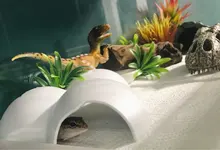 Reptile Hiding Cave Animal Pet Case EggsShell Decoration For Turtle Lizard Snake 