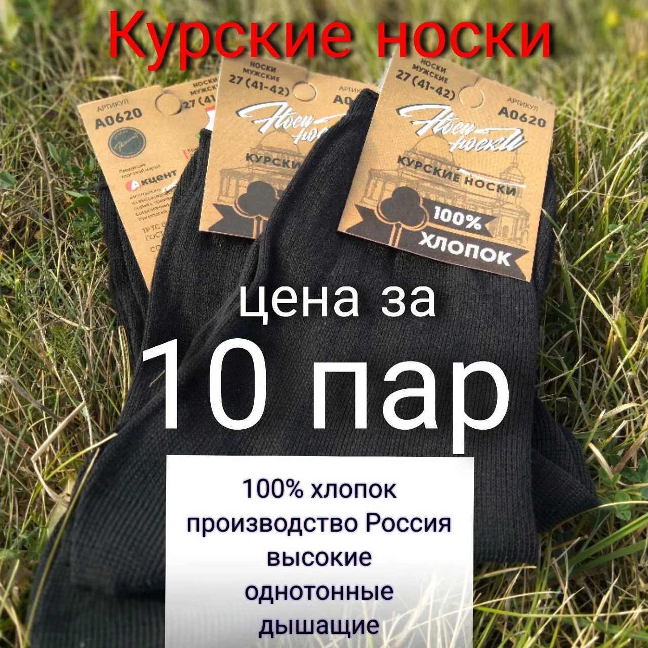 носки мужские (цена за 10 пар ) Хлопок 100% &quotКурские носки&quot 20 шт эконом | Мужская