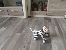 Perro Robot inteligente Programable con Control remoto, juguete de chico s inalámbrico de 2021G, Perro Robot parlante inteligente, regalo para chico de mascotas, novedad de 2,4