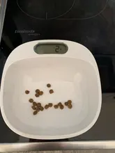 Bowls Dog-Bowl-Feeder Feeding-Safe Pet-Smart-Dogs Petkit Drinking Non-Slip for Anti-Microbial