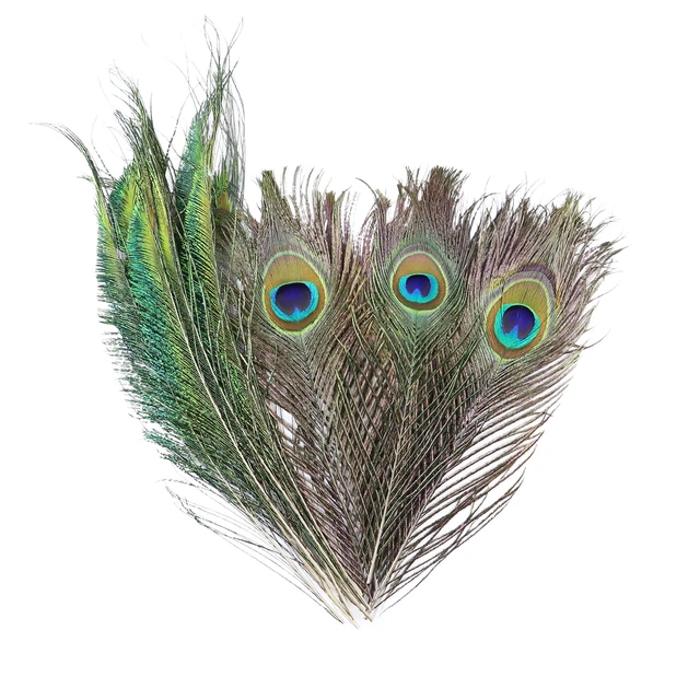 Natural Peacock Original Peacock Feather For Wedding Party Table Center  Vase Decor, Jewelry Making, Crafts, Plume Accessories 25x65CM From Bong09,  $16.92