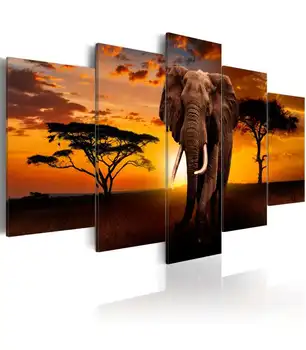 

Picture-The Savannah King