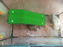 Plataforma de secado de tortuga, escalera de escalada para reptiles, tortugas, acuario, pecera, césped simulado, decoración de paisajismo