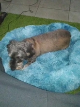 Dog Bed Sofa Long Plush Square Kennel Winter Warm Puppy Mat Cat Nest Soft House Non-slip