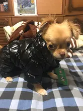 Ropa de abrigo para Perros Bulldog Francés, Ropa de cachorro, Chihuahua, yorkie, abrigo de perrito mascota, chaqueta, perros, mascotas