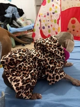Abrigo con tutú y estampado de leopardo para perros y cachorros ropa de invierno con capucha, chaqueta reversible para perros pequeños