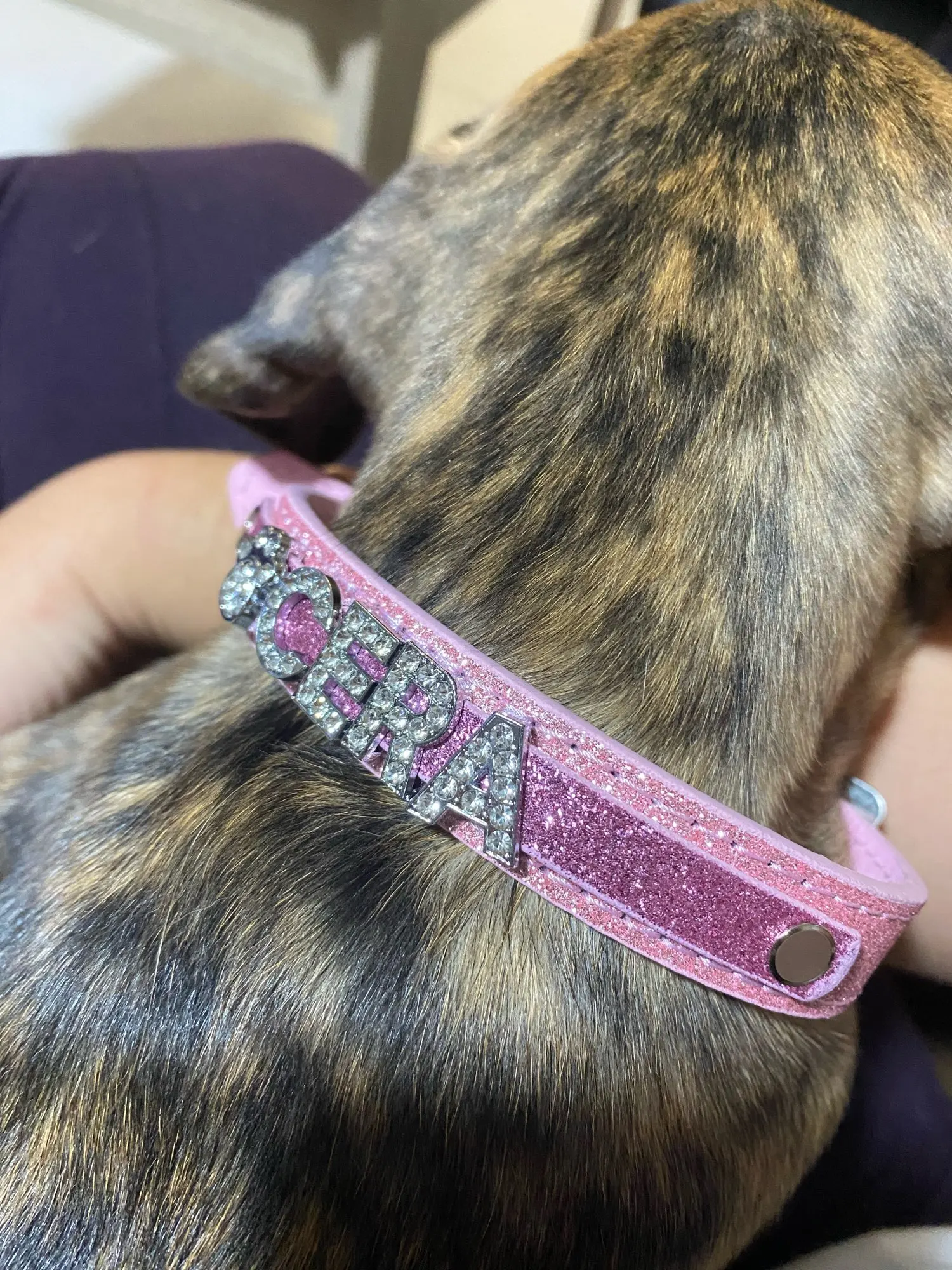 DogMEGA Personalized Dog Collar | Custom Dog Collars | Custom Leather Dog Collars photo review