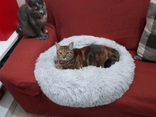 Cama redonda para gatos, nido de gato durmiendo cálido, felpa larga suave para canasta para perros, productos para mascotas, cojín, alfombrilla cama para mascotas, casa para gatos, animales, sofá