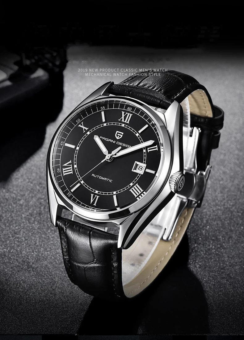 mechanical watches for men PAGANI DESIGN Automatic Date Perspective Case Back Luminous Men's Mechanical Watch PD-1634 diver automatic watch