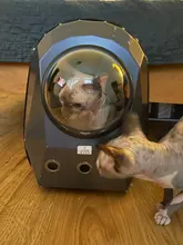 Transportín para gatos, mochila portamascotas de viaje, bandolera doble, cápsula espacial para perro, Bolso pequeño para mascota