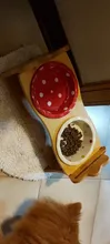 Pet-Supplies Dish-Bowl Raised Food-Water-Feeder Wooden Ceramic Stand Table Pets Dog Cat