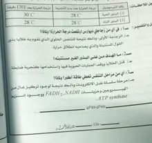 Anillos cuadrados de ancho grande para hombre, joyería negra, 2020