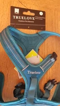 Truelove-Arnés deportivo de nailon reflectante para perros, chaleco con mangos, sin tirones para aventura con mascota al aire libre, 5 colores, tallas XS a XL, en stock en fábrica