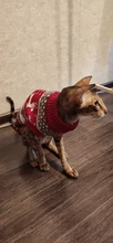 Pet Cat Reindeer Sweater Winter Warm Cat Clothes for Cats Kedi Outfit katten Clothing