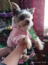 Overalls Fleece Dogs Winter for Star Corduroy Teddy XS M XL