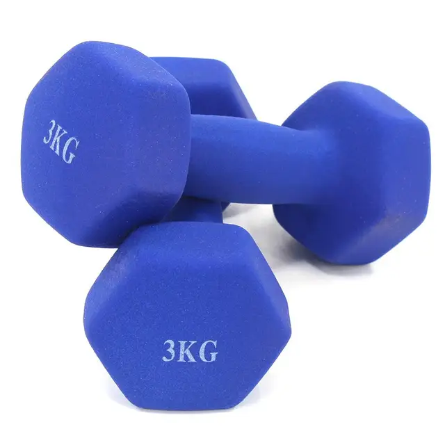 Dumbbells plastic for women, dumbbell Fitness lasting, with style, smooth surface, from 3 kilos, portable optional, 2 pieces 3.0KG