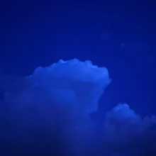 d***y