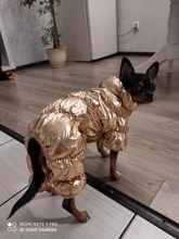 Jacket Clothing Puppy Small Dogs Waterproof Winter Overalls Pet-Coat Dog-Jumpsuit Fleece