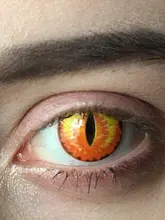 AMARA-lentes de contacto de colores para Halloween, 1 par, para ojos, maquillaje, fiesta, 1 año