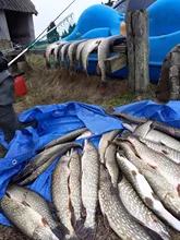 Jerkbait Sinking Hooks Fishing-Lure VIB VTAVTA Artificial ORIGIN with Hard 9g/21g