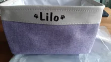 Personalized Dog Toy Basket No Smell Storage Box Free Print Name Storage Baskets For