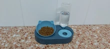 Food-Bowl Raised-Stand Pet-Cat-Bowl Water-Fountain Automatic-Feeder Drinking For Cats
