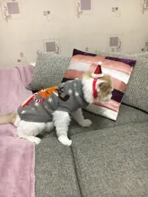 Cute Cat Sweater Costume Winter Warm Pet Clothes Cat Clothing for Cats Katten Kedi Giyim